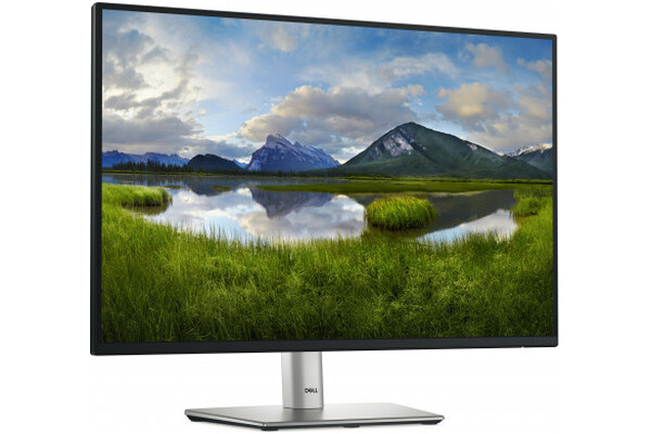 Monitor 24.1" DELL P2425