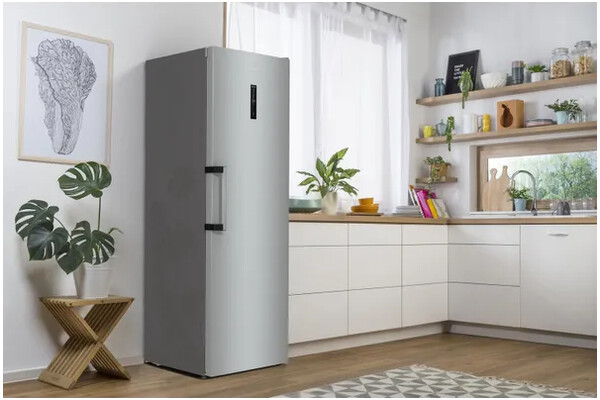 Zamrażarka Gorenje FN619EAXL6 280l Szufladowa