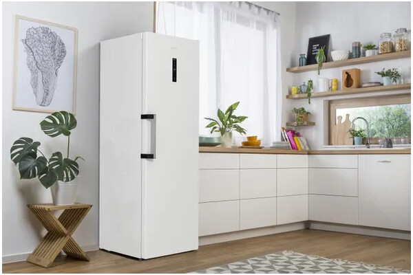 Zamrażarka Gorenje FN619EAW6 280l Szufladowa