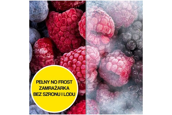 Zamrażarka Samsung RZ32C7CBEB1EF 323l Szufladowa