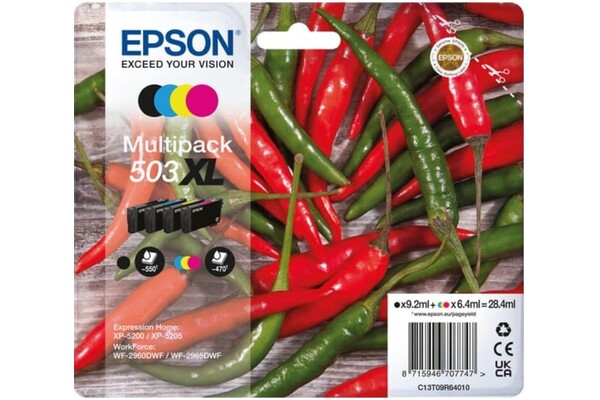 skaner EPSON C13T09R64010