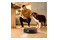 Odkurzacz iRobot J9 Roomba robot sprzątający z pojemnikiem czarny