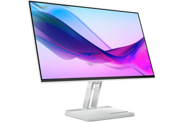 Monitor 23.8" Lenovo L24i-4A