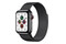 Smartwatch Apple Watch Series 5 1.22" szary