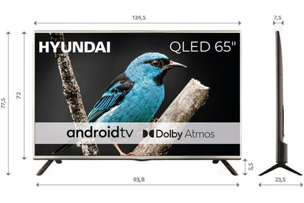 Telewizor HYUNDAI QLX65840GSMART 65" 4K Ultra HD