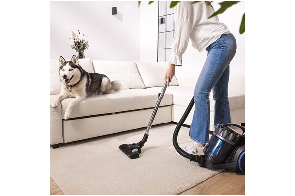 Odkurzacz Cecotec Conga Rockstar Animal tradycyjny bezworkowy 800W czarno-niebieski