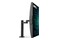 Monitor 31.5" BenQ RD320UA czarny