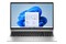 Laptop HP ProBook 450 G10 15.6" Intel Core i5 1334U Intel UHD (Intel Iris Xe ) 16GB 1024GB SSD M.2 Windows 11 Home