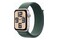 Smartwatch Apple Watch SE zielony