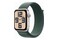 Smartwatch Apple Watch SE zielony