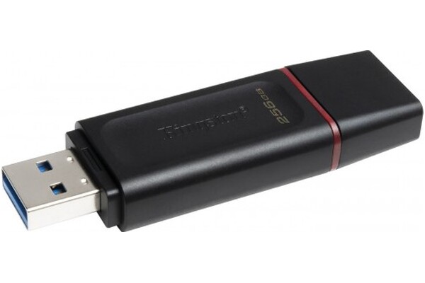Pendrive Kingston DataTraveler Exodia 250GB