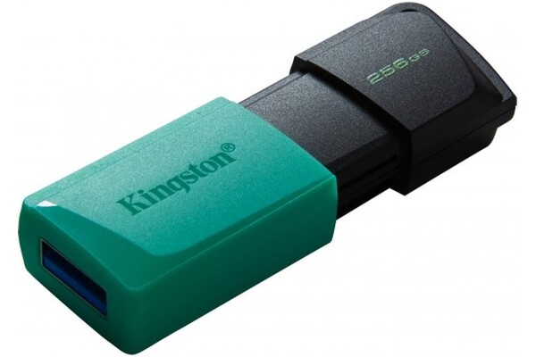 Pendrive Kingston DataTraveler Exodia M 250GB
