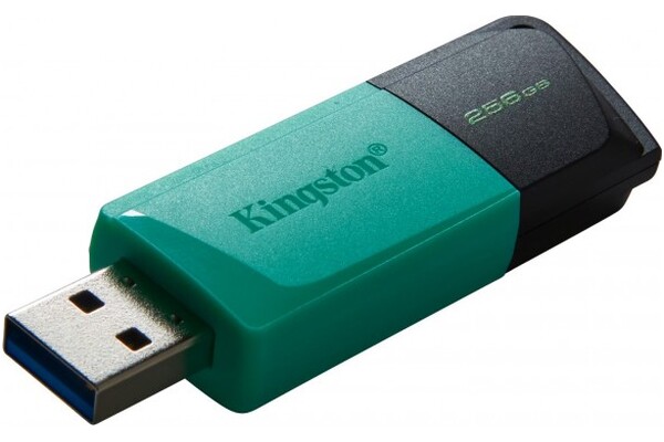 Pendrive Kingston DataTraveler Exodia M 250GB