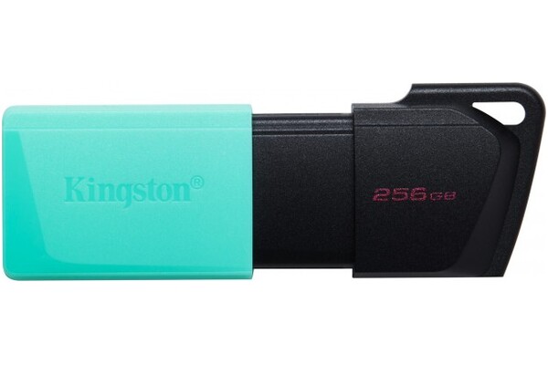 Pendrive Kingston DataTraveler Exodia M 250GB