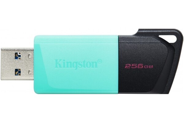 Pendrive Kingston DataTraveler Exodia M 250GB