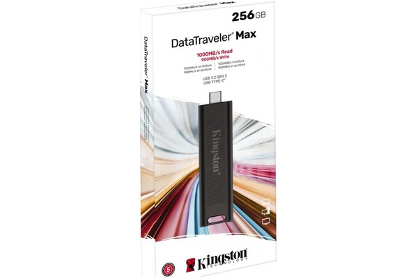 Pendrive Kingston DataTraveler Max 250GB
