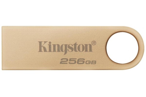 Pendrive Kingston DataTraveler SE9 250GB