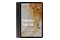 Tablet Samsung Galaxy Tab S8 11.00" Qualcomm Snapdragon 8 8.0GB/128GB, WiFi, grafitowy