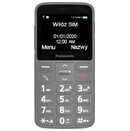 Smartfon Panasonic szary 2.40" poniżej 0.1GB/poniżej 0.5GB