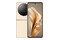 Smartfon nubia Flip 5G 5G złoty 1.43" 8.0GB/256.0GB