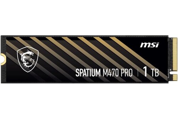 Dysk wewnętrzny MSI M470 Spatium Pro SSD M.2 NVMe 1TB