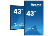 Monitor 42.5" IIYAMA LH4365UHSB-B1 czarny