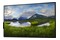 Monitor 55.0" DELL P5525QC czarny