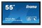 Monitor 55.0" IIYAMA TE5512MIS-B3AG czarny