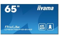 Monitor 64.5" IIYAMA LH6575UHS-B1AG czarny