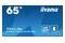 Monitor 64.5" IIYAMA LH6575UHS-B1AG czarny