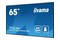 Monitor 64.5" IIYAMA LH6575UHS-B1AG czarny