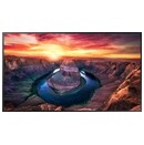 Monitor 43.0" Samsung QM43B czarny