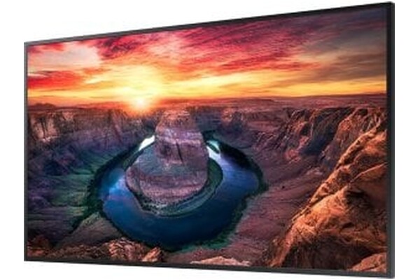 Monitor 43.0" Samsung QM43B czarny
