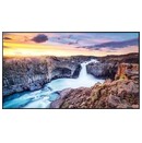 Monitor 55.0" Samsung QH55B czarny