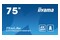 Monitor 74.5" IIYAMA LH7565UHSB-B1 czarny