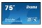 Monitor 74.5" IIYAMA TE7512MIS-B3AG czarny