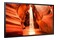 Monitor 55.0" Samsung OM55N czarny