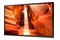 Monitor 55.0" Samsung OM55N czarny