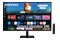 Monitor 27.0" Samsung LS27DM500EUXDU czarny
