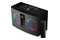 głośnik Bluetooth FERGUSON Regent 300BT czarny