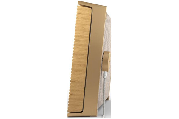 głośnik Bluetooth Bang & Olufsen Beosound Level brązowy