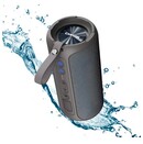 głośnik Bluetooth Canyon OnMove szary