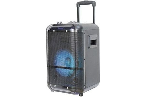głośnik Bluetooth Denver TSP306 czarny