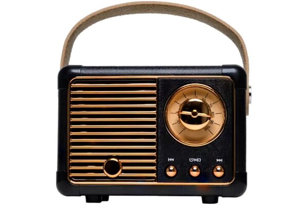 głośnik Bluetooth Denver BTP203 czarny