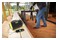 głośnik Bluetooth RYOBI RBT18-0 czarno-zielony