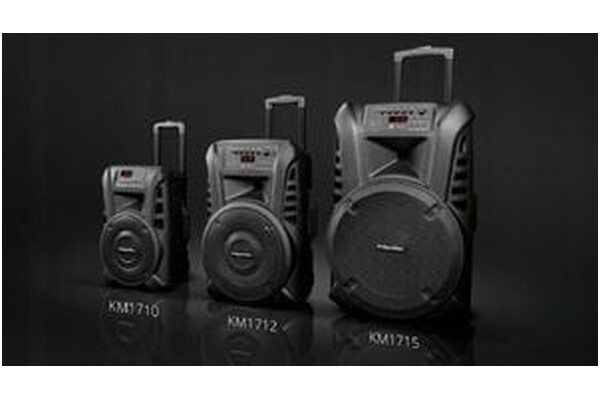 głośnik Bluetooth Kruger&Matz KM1712 czarny