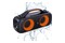 głośnik Bluetooth Manta SPK216 czarny