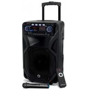 głośnik Bluetooth Manta SPK5021PRO czarny