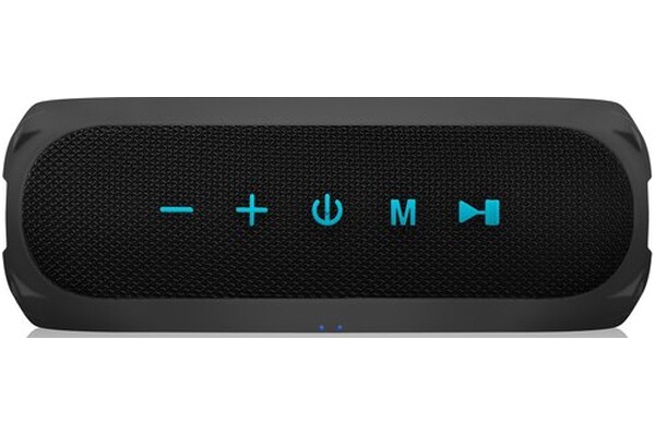 głośnik Bluetooth Niceboy Raze Radion 4 czarny