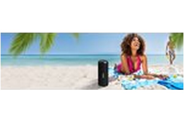 głośnik Bluetooth TOSHIBA TY-WSP102 czarny